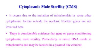 Cytoplasmic Male Sterility (CMS)
• It occurs due to the mutation of mitochondria or some other
cytoplasmic factors outside the nucleus. Nuclear genes are not
involved here.
• There is considerable evidence that gene or genes conditioning
cytoplasmic male sterility. Particularly in maize DNA reside in
mitochondria and may be located in a plasmid like element.
 