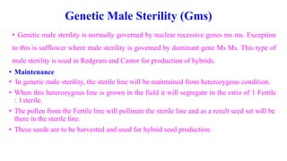 Genetic Male Sterility (Gms)
• Genetic male sterility is normally governed by nuclear recessive genes ms ms. Exception
to this is safflower where male sterility is governed by dominant gene Ms Ms. This type of
male sterility is used in Redgram and Castor for production of hybrids.
• Maintenance
• In genetic male sterility, the sterile line will be maintained from heterozygous condition.
• When this heterozygous line is grown in the field it will segregate in the ratio of 1 Fertile
: 1sterile.
• The pollen from the Fertile line will pollinate the sterile line and as a result seed set will be
there in the sterile line.
• These seeds are to be harvested and used for hybrid seed production.
 