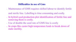 Difficulties in use of Gms
1. Maintenance of GMS requires skilled labour to identify fertile
and sterile line. Labelling is time consuming and costly.
2. In hybrid seed production plot identification of fertile line and
removing them is costly.
3. Use of double the seed rate of GMS line is costly
4. In crops like castor high temperature leads to break down of
male sterility.
 