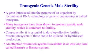 Transgenic Genetic Male Sterility
• A gene introduced into the genome of an organism by
recombinant DNA technology or genetic engineering is called
transgene.
• Many transgenes have been shown to produce genetic male
sterility, which is dominant to fertility.
• Consequently, it is essential to develop effective fertility
restoration system if these are to be utilized for hybrid seed
production.
• An effective restoration system is available in at least one case
called Barnase or Barstar system.
 