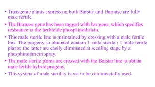 • Transgenic plants expressing both Barstar and Barnase are fully
male fertile.
• The Barnase gene has been tagged with bar gene, which specifies
resistance to the herbicide phosphinothricin.
• This male sterile line is maintained by crossing with a male fertile
line. The progeny so obtained contain 1 male sterile : 1 male fertile
plants; the latter are easily eliminated at seedling stage by a
phosphinothricin spray.
• The male sterile plants are crossed with the Barstar line to obtain
male fertile hybrid progeny.
• This system of male sterility is yet to be commercially used.
 