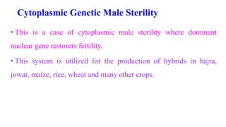 Cytoplasmic Genetic Male Sterility
• This is a case of cytoplasmic male sterility where dominant
nuclear gene restorers fertility.
• This system is utilized for the production of hybrids in bajra,
jowar, maize, rice, wheat and many other crops.
 