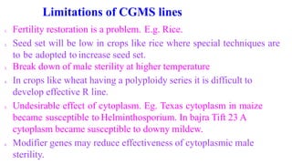 Limitations of CGMS lines
1. Fertility restoration is a problem. E.g. Rice.
2. Seed set will be low in crops like rice where special techniques are
to be adopted to increase seed set.
3. Break down of male sterility at higher temperature
4. In crops like wheat having a polyploidy series it is difficult to
develop effective R line.
5. Undesirable effect of cytoplasm. Eg. Texas cytoplasm in maize
became susceptible to Helminthosporium. In bajra Tift 23 A
cytoplasm became susceptible to downy mildew.
6. Modifier genes may reduce effectiveness of cytoplasmic male
sterility.
 
