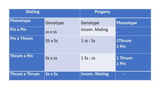 Mating Progeny
Phenotype
Genotype Genotype Phenotype
Pin x Pin
ss x ss
Incom. Mating
-
Pin x Thrum
SS x Ss 1 ss : Ss 1Thrum
1 Pin
Thrum x Pin Ss x ss 1 Ss : ss 1 Thrum
1 Pin
Thrum x Thrum Ss x Ss Incom. Mating -
 