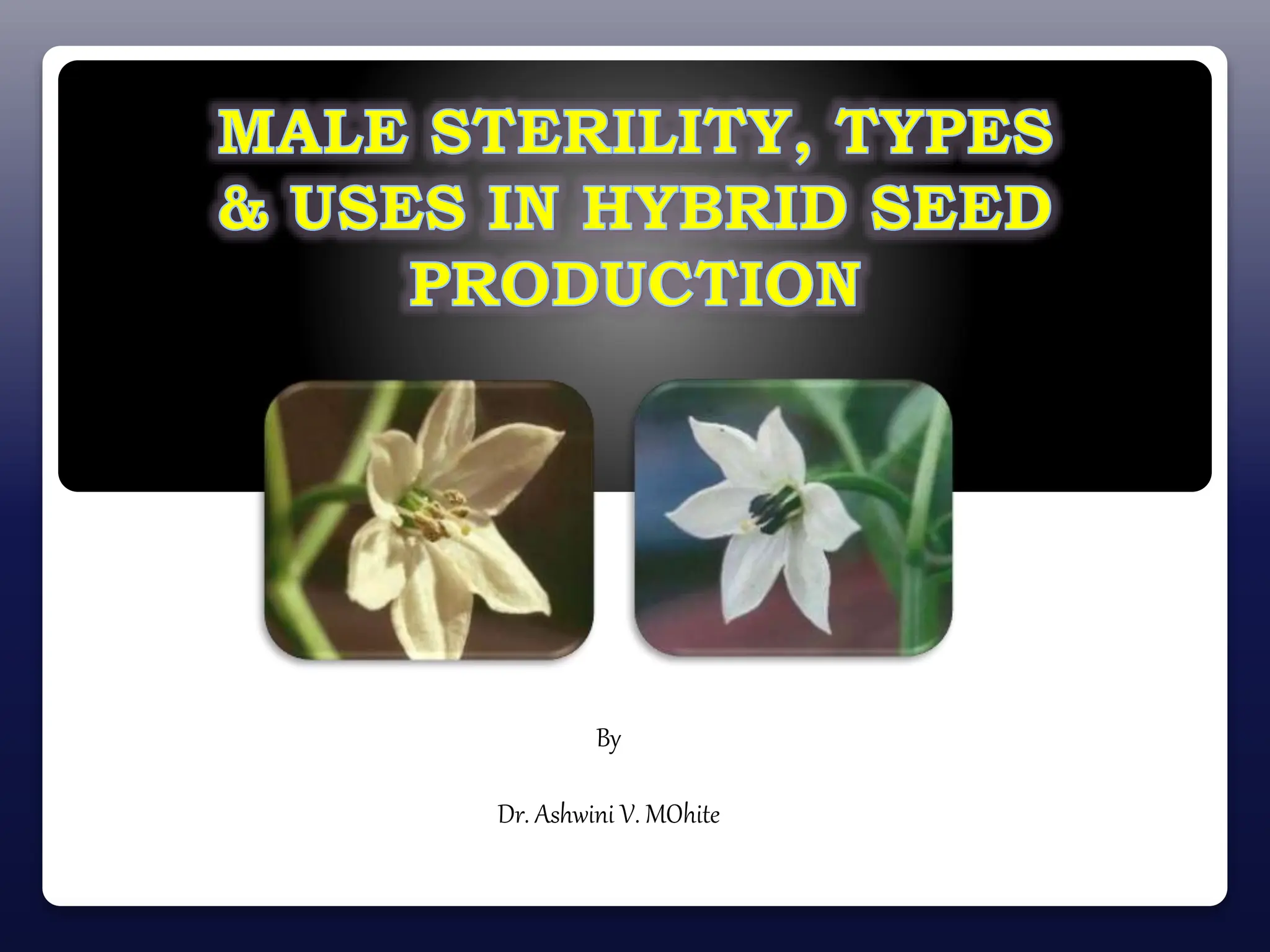 Male sterility.pptx .................... | PPTX
