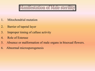 1. Mitochondrial mutation
2. Barrier of tapetal layer
3. Improper timing of callase activity
4. Role of Esterase
5. Absence or malformation of male organs in bisexual flowers.
6. Abnormal microsporogenesis
 