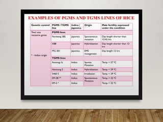 Male sterility (Mr. Devendra Kumawat).pptx