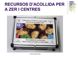 RECURSOS D’ACOLLIDA PER A ZER I CENTRES 