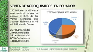 Ing. Jesús Pilco Sarmiento
ECUAQUIMICA - MILAGRO
“Sin malezas lograremos mejores cosechas”
180 Millones de dólares a
nivel nacional, lo cual es
apenas el 0.4% de las
Ventas Mundiales que
alcanzan fácilmente los 45
mil Millones de Dólares.
25.74% Insecticidas
24.08% Fungicidas
5.81% Nematicidas
0.33% Surfactantes
44.04% Herbicidas
VENTA DE AGROQUIMICOS EN ECUADOR.
 