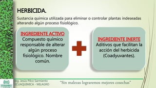 Ing. Jesús Pilco Sarmiento
ECUAQUIMICA - MILAGRO
“Sin malezas lograremos mejores cosechas”
HERBICIDA.
Sustancia química utilizada para eliminar o controlar plantas indeseadas
alterando algún proceso fisiológico.
INGREDIENTE ACTIVO
Compuesto químico
responsable de alterar
algún proceso
fisiológico. Nombre
común.
INGREDIENTE INERTE
Aditivos que facilitan la
acción del herbicida
(Coadyuvantes).
 