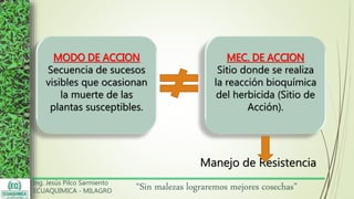 Ing. Jesús Pilco Sarmiento
ECUAQUIMICA - MILAGRO
“Sin malezas lograremos mejores cosechas”
MODO DE ACCION
Secuencia de sucesos
visibles que ocasionan
la muerte de las
plantas susceptibles.
MEC. DE ACCION
Sitio donde se realiza
la reacción bioquímica
del herbicida (Sitio de
Acción).
Manejo de Resistencia
 