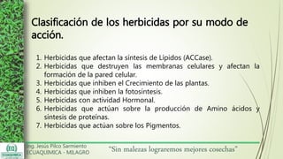 Ing. Jesús Pilco Sarmiento
ECUAQUIMICA - MILAGRO
“Sin malezas lograremos mejores cosechas”
Clasificación de los herbicidas por su modo de
acción.
1. Herbicidas que afectan la síntesis de Lípidos (ACCase).
2. Herbicidas que destruyen las membranas celulares y afectan la
formación de la pared celular.
3. Herbicidas que inhiben el Crecimiento de las plantas.
4. Herbicidas que inhiben la fotosíntesis.
5. Herbicidas con actividad Hormonal.
6. Herbicidas que actúan sobre la producción de Amino ácidos y
síntesis de proteínas.
7. Herbicidas que actúan sobre los Pigmentos.
 