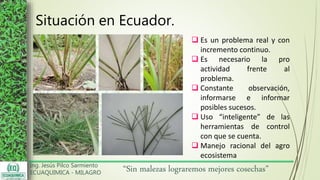 Ing. Jesús Pilco Sarmiento
ECUAQUIMICA - MILAGRO
“Sin malezas lograremos mejores cosechas”
Situación en Ecuador.
 Es un problema real y con
incremento continuo.
 Es necesario la pro
actividad frente al
problema.
 Constante observación,
informarse e informar
posibles sucesos.
 Uso “inteligente” de las
herramientas de control
con que se cuenta.
 Manejo racional del agro
ecosistema
 