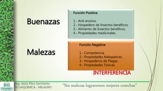 Ing. Jesús Pilco Sarmiento
ECUAQUIMICA - MILAGRO
“Sin malezas lograremos mejores cosechas”
Buenazas
Función Positiva:
1.- Anti erosivo.
2.- Hospedero de Insectos benéficos.
3.- Alimento de Insectos benéficos.
4.- Propiedades medicinales.
Malezas
Función Negativa:
1.- Competencia.
2.- Propiedades Alelopaticas.
3.- Hospederos de Plagas.
4.- Propiedades Tóxicas.
INTERFERENCIA
 