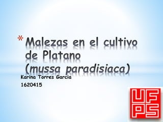 Karina Torres Garcia
1620415
*
 