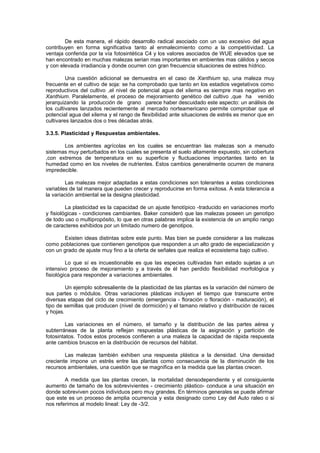 De esta manera, el rápido desarrollo radical asociado con un uso excesivo del agua
contribuyen en forma significativa tanto al enmalecimiento como a la competitividad. La
ventaja conferida por la vía fotosintética C4 y los valores asociados de WUE elevados que se
han encontrado en muchas malezas serian mas importantes en ambientes mas cálidos y secos
y con elevada irradiancia y donde ocurren con gran frecuencia situaciones de estres hídrico.
Una cuestión adicional se demuestra en el caso de Xanthium sp, una maleza muy
frecuente en el cultivo de soja: se ha comprobado que tanto en los estadios vegetativos como
reproductivos del cultivo ,el nivel de potencial agua del xilema es siempre mas negativo en
Xanthium. Paralelamente, el proceso de mejoramiento genético del cultivo ,que ha venido
jerarquizando la producción de grano parece haber descuidado este aspecto: un análisis de
los cultivares lanzados recientemente al mercado norteamericano permite comprobar que el
potencial agua del xilema y el rango de flexibilidad ante situaciones de estrés es menor que en
cultivares lanzados dos o tres décadas atrás.
3.3.5. Plasticidad y Respuestas ambientales.
Los ambientes agrícolas en los cuales se encuentran las malezas son a menudo
sistemas muy perturbados en los cuales se presenta el suelo altamente expuesto, sin cobertura
,con extremos de temperatura en su superficie y fluctuaciones importantes tanto en la
humedad como en los niveles de nutrientes. Estos cambios generalmente ocurren de manera
impredecible.
Las malezas mejor adaptadas a estas condiciones son tolerantes a estas condiciones
variables de tal manera que pueden crecer y reproducirse en forma exitosa. A esta tolerancia a
la variación ambiental se la designa plasticidad.
La plasticidad es la capacidad de un ajuste fenotípico -traducido en variaciones morfo
y fisiológicas - condiciones cambiantes. Baker consideró que las malezas poseen un genotipo
de todo uso o multipropósito, lo que en otras palabras implica la existencia de un amplio rango
de caracteres exhibidos por un limitado numero de genotipos.
Existen ideas distintas sobre este punto. Mas bien se puede considerar a las malezas
como poblaciones que contienen genotipos que responden a un alto grado de especialización y
con un grado de ajuste muy fino a la oferta de señales que realiza el ecosistema bajo cultivo.
Lo que sí es incuestionable es que las especies cultivadas han estado sujetas a un
intensivo proceso de mejoramiento y a través de él han perdido flexibilidad morfológica y
fisiológica para responder a variaciones ambientales.
Un ejemplo sobresaliente de la plasticidad de las plantas es la variación del número de
sus partes o módulos. Otras variaciones plásticas incluyen el tiempo que transcurre entre
diversas etapas del ciclo de crecimiento (emergencia - floración o floración - maduración), el
tipo de semillas que producen (nivel de dormición) y el tamano relativo y distribución de raices
y hojas.
Las variaciones en el número, el tamaño y la distribución de las partes aérea y
subterráneas de la planta reflejan respuestas plásticas de la asignación y partición de
fotosintatos. Todos estos procesos confieren a una maleza la capacidad de rápida respuesta
ante cambios bruscos en la distribución de recursos del hábitat.
Las malezas también exhiben una respuesta plástica a la densidad. Una densidad
creciente impone un estrés entre las plantas como consecuencia de la disminución de los
recursos ambientales, una cuestión que se magnifica en la medida que las plantas crecen.
A medida que las plantas crecen, la mortalidad densodependiente y el consiguiente
aumento de tamaño de los sobrevivientes - crecimiento plástico- conduce a una situación en
donde sobreviven pocos individuos pero muy grandes. En términos generales se puede afirmar
que este es un proceso de amplia ocurrencia y esta designado como Ley del Auto raleo o si
nos referimos al modelo lineal: Ley de -3/2.
 