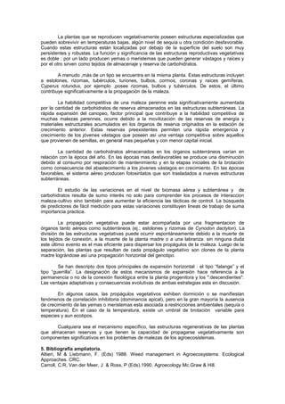 La plantas que se reproducen vegetativamente poseen estructuras especializadas que
pueden sobrevivir en temperaturas bajas, algún nivel de sequía u otra condición desfavorable.
Cuando estas estructuras están localizadas por debajo de la superficie del suelo son muy
persistentes y robustas. La función y significancia de las estructuras reproductivas vegetativas
es doble : por un lado producen yemas o meristemas que pueden generar vástagos y raices y
por el otro sirven como tejidos de almacenaje y reserva de carbohidratos.
A menudo ,más de un tipo se encuentra en la misma planta. Estas estructuras incluyen
a estolones, rizomas, tubérculos, turiones, bulbos, cormos, coronas y raices gemíferas.
Cyperus rotundus, por ejemplo ,posee rizomas, bulbos y tubérculos. De estos, el último
contribuye significativamente a la propagación de la maleza.
La habilidad competitiva de una maleza perenne esta significativamente aumentada
por la cantidad de carbohidratos de reserva almacenados en las estructuras subterráneas. La
rápida expansión del canopeo, factor principal que contribuye a la habilidad competitiva de
muchas malezas perennes, ocurre debido a la movilización de las reservas de energía y
materiales estructurales acumulados en los órganos de reserva originados en la estación de
crecimiento anterior. Estas reservas preexistentes permiten una rápida emergencia y
crecimiento de los jóvenes vástagos que poseen así una ventaja competitiva sobre aquellos
que provienen de semillas, en general mas pequeñas y con menor capital inicial.
La cantidad de carbohidratos almacenados en los órganos subterráneos varían en
relación con la época del año. En las épocas mas desfavorables se produce una disminución
debido al consumo por respiración de mantenimiento y en la etapas iniciales de la brotación
como consecuencia del abastecimiento a los jóvenes vástagos en crecimiento. En las épocas
favorables, el sistema aéreo producen fotosintatos que son trasladados a nuevas estructuras
subterráneas.
El estudio de las variaciones en el nivel de biomasa aérea y subterránea y de
carbohidratos resulta de sumo interés no solo para comprender los procesos de interaccion
maleza-cultivo sino también para aumentar la eficiencia las tácticas de control. La búsqueda
de predictores de fácil medición para estas variaciones constituyen lineas de trabajo de suma
importancia practica.
La propagación vegetativa puede estar acompañada por una fragmentacion de
órganos tanto aéreos como subterráneos (ej.; estolones y rizomas de Cynodon dactylon). La
división de las estructuras vegetativas puede ocurrir espontáneamente debido a la muerte de
los tejidos de conexión, a la muerte de la planta madre o a una labranza: sin ninguna duda
este último evento es el mas eficiente para dispersar los propágulos de la maleza. Luego de la
separación, las plantas que resultan de cada propágulo vegetativo son clones de la planta
madre lográndose así una propagación horizontal del genotipo.
Se han descripto dos tipos principales de expansión horizontal : el tipo “falange” y el
tipo “guerrilla”. La designación de estos mecanismos de expansión hace referencia a la
permanencia o no de la conexión fisiológica entre la planta progenitora y los ":descendientes":
Las ventajas adaptativas y consecuencias evolutivas de ambas estrategias esta en discusión.
En algunos casos, las propágulos vegetativos exhiben dormición o se manifiestan
fenómenos de correlación inhibitoria (dominancia apical), pero en la gran mayoría la ausencia
de crecimiento de las yemas o meristemas esta asociada a restricciones ambientales (sequía o
temperatura). En el caso de la temperatura, existe un umbral de brotación variable para
especies y aun ecotipos.
Cualquiera sea el mecanismo específico, las estructuras regenerativas de las plantas
que almacenan reservas y que tienen la capacidad de propagarse vegetativamente son
componentes significativos en los problemas de malezas de los agroecosistemas.
5. Bibliografía ampliatoria.
Altieri, M & Liebmann, F. (Eds) 1988. Weed management in Agroecosystems: Ecological
Approaches. CRC.
Carroll, C.R, Van der Meer, J & Ross, P (Eds).1990. Agroecology.Mc.Graw & Hill.
 