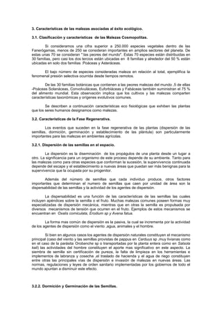 3. Características de las malezas asociadas al éxito ecológico.
3.1. Clasificación y características de las Malezas Cosmopolitas.
Si consideramos una cifra superior a 250.000 especies vegetales dentro de las
Fanerógamas, menos de 250 se consideran importantes en amplios sectores del planeta. De
estas unas 70 se consideran ":las peores del mundo". Estas 70 especies están distribuidas en
30 familias, pero casi los dos tercios están ubicadas en 8 familias y alrededor del 50 % están
ubicadas en solo dos familias :Poáceas y Asteráceas.
El bajo número de especies consideradas maleza en relación al total, ejemplifica la
fenomenal presión selectiva ocurrida desde tiempos remotos.
De las 30 familias botánicas que contienen a las peores malezas del mundo ,5 de ellas
-Poáceas Solanáceas, Convolvuláceas, Euforbiáceas y Fabáceas también suministran el 75 %
del alimento mundial. Esta observación implica que los cultivos y las malezas comparten
características taxonómicas y orígenes evolutivos comunes.
Se describen a continuación características eco fisiológicas que exhiben las plantas
que los seres humanos designamos como malezas.
3.2. Características de la Fase Regenerativa.
Los eventos que suceden en la fase regenerativa de las plantas (dispersión de las
semillas, dormición, germinación y establecimiento de las plántula) son particularmente
importantes para las malezas en ambientes agrícolas.
3.2.1. Dispersión de las semillas en el espacio.
La dispersión es la diseminación de los propágulos de una planta desde un lugar a
otro. La significancia para un organismo de este proceso depende de su ambiente. Tanto para
las malezas como para otras especies que conforman la sucesión, la supervivencia continuada
depende del escape y el establecimiento a nuevas áreas que puedan ser más benignas para la
supervivencia que la ocupada por su progenitor.
Además del número de semillas que cada individuo produce, otros factores
importantes que determinan el numero de semillas que caen por unidad de área son la
dispersabilidad de las semillas y la actividad de los agentes de dispersión.
La dispersabilidad es una función de las características de las semillas las cuales
incluyen apéndices sobre la semilla o el fruto. Muchas malezas comunes poseen formas muy
especializadas de dispersión mecánica, mientras que en otras la semilla es propulsada por
diversos mecanismos de tensión que ocurren en el fruto. Ejemplos de estos mecanismos se
encuentran en Oxalis corniculata, Erodium sp y Avena fatua.
La forma mas común de dispersión es la pasiva, la cual se incrementa por la actividad
de los agentes de dispersión como el viento ,agua, animales y el hombre.
Si bien en algunos casos los agentes de dispersión naturales constituyen el mecanismo
principal (caso del viento y las semillas provistas de pappus en Carduus sp ,muy livianas como
en el caso de la parásita Orobanche sp o transportadas por la planta entera como en Salsola
kali) las actividades del hombre constituyen el aporte mas significativo en este aspecto. La
siembra de semilla sin certificación de pureza, la falta de limpieza en los herramientas e
implementos de labranza y cosecha ,el traslado de hacienda y el agua de riego constituyen
entre otras las principales vías de dispersión e invasión de malezas en nuevas áreas. Las
normas, regulaciones y leyes de orden sanitario implementadas por los gobiernos de todo el
mundo apuntan a disminuir este efecto.
3.2.2. Dormición y Germinación de las Semillas.
 