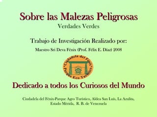 Sobre las Malezas Peligrosas 
Verdades Verdes 
Trabajo de Investigación Realizado por: 
Maestro Sri Deva Fénix (Prof. Félix E. Díaz) 2008Dedicado a todos los Curiosos del MundoDedicado Mundo 
Ciudadela del Fénix-Parque Agro Turístico, Aldea San Luís, La Azulita, Estado Mérida, R. B. de Venezuela  