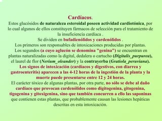 Cardíacos. Estos glucósidos de naturaleza esteroidal poseen actividad cardiotónica, por lo cual algunos de ellos constituyen fármacos de selección para el tratamiento de la insuficiencia cardíaca . Se dividen en bufadienólidos y cardenólidos. Los primeros son responsables de intoxicaciones producidas por plantas. Los segundos (a cuyo aglucón se denomina "genina")se encuentran en plantas naturalizadas como la digital, dedalera o cartucho (Digitalis_purpurea), el laurel de flor (Nerium_oleander)y lacontrayerba(Gratiola_peruviana). Los signos de intoxicación (cardíacos y digestivos, con diarrea y gastroenteritis) aparecen a las 4-12 horas de la ingestión de la planta y la muerte puede presentarse entre 12 y 24 horas. El carácter tóxico de algunas plantas, por otra parte, no sólo se debe al daño cardíaco que provocan cardenólidos como digitogenina, gitogenina, tigogenina y gitoxigenina, sino que también concurren a ello las saponinasque contienen estas plantas, que probablemente causan las lesiones hepáticas descritas en esta intoxicación.  