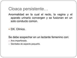 Cloaca persistente…
Anormalidad en la cual el recto, la vagina y el
 aparato urinario convergen y se fusionan en un
 solo conducto común.

 DX. Clínico.


Se debe sospechar en un lactante femenino con:
 Ano imperforado.
 Genitales de aspecto pequeño.
 