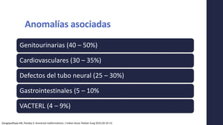 Anomalías asociadas
Genitourinarias (40 – 50%)
Cardiovasculares (30 – 35%)
Defectos del tubo neural (25 – 30%)
Gastrointestinales (5 – 10%
VACTERL (4 – 9%)
Gangopadhyay AN, Pandey V. Anorectal malformations. J Indian Assoc Pediatr Surg 2015;20:10-15.
 