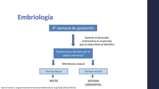 Embriología
Iwai N, Fumino S. Surgical treatment of anorectal malformations. Surg Today 2013;43:955-62.
Membrana cloacal
 