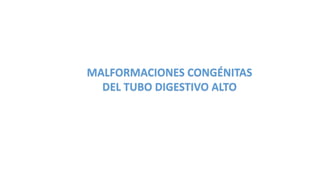 MALFORMACIONES CONGÉNITAS
DEL TUBO DIGESTIVO ALTO
 