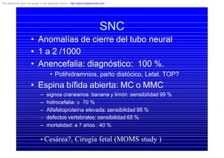 SNC
• Anomalías de cierre del tubo neural
• 1 a 2 /1000
• Anencefalia: diagnóstico: 100 %.
• Polihidramnios, parto distócico, Letal. TOP?
• Espina bífida abierta: MC o MMC
– signos craneanos: banana y limón :sensibilidad 99 %
– hidrocefalia: @ 70 %
– Alfafetoproteìna elevada: sensibilidad 95 %
– defectos vertebrales: sensibilidad 65 %
– mortalidad: a 7 años : 40 %
• Cesárea?, Cirugía fetal (MOMS study )
This watermark does not appear in the registered version - http://www.clicktoconvert.com
 