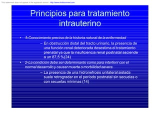 Principios para tratamiento
intrauterino
• 1-Conocimiento preciso de la historia natural de la enfermedad
– En obstrucción distal del tracto urinario, la presencia de
una función renal deteriorada desestima el tratamiento
prenatal ya que la insuficiencia renal postnatal asciende
a un 87,5 %(24)
• 2-La condición debe ser determinante como para interferir con el
normal desarrollo y causar muerte o morbilidad severa.
– La presencia de una hidronefrosis unilateral aislada
suele retrogradar en el período postnatal sin secuelas o
con secuelas mínimas (14)
This watermark does not appear in the registered version - http://www.clicktoconvert.com
 