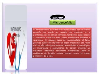 La Microencefalia es un trastorno caracterizado por un cerebro
pequeño que puede ser causado por problemas en la
proliferación de las células nerviosas. También se puede asociar
a problemas maternos tales como alcoholismo, diabetes o
sarampión. En algunos casos de microencefalia, el factor
genético puede desempeñar un papel importante. Los recién
nacidos afectados generalmente tienen defectos neurológicos
de importancia y convulsiones. Es común presentar un
desarrollo intelectual seriamente deteriorado, pero los
problemas de función motora pueden ocurrir en etapas
posteriores de la vida.
Microencefalia
 