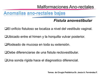 Malformaciones Ano-rectales
Fistula anovestibular
El orificio fistuloso se localiza a nivel del vestíbulo vaginal.
Ubicado entre el himen y la horquilla vulvar posterior.
Rodeado de mucosa en toda su extensión.
Debe diferenciarse de una fistula rectovestibular.
Una sonda rígida hace el diagnostico diferencial.

Temas de Cirugía Pediátrica Dr. Jesús A. Fernández F.

 