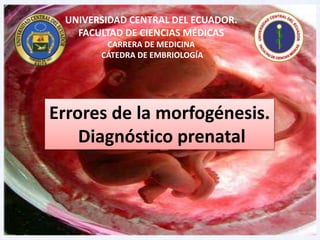 1
UNIVERSIDAD CENTRAL DEL ECUADOR.
FACULTAD DE CIENCIAS MÉDICAS
CARRERA DE MEDICINA
CÁTEDRA DE EMBRIOLOGÍA
Errores de la morfogénesis.
Diagnóstico prenatal
 