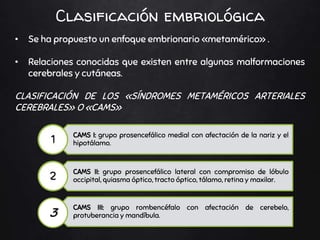• Se ha propuesto un enfoque embrionario «metamérico» .
• Relaciones conocidas que existen entre algunas malformaciones
cerebrales y cutáneas.
CLASIFICACIÓN DE LOS «SÍNDROMES METAMÉRICOS ARTERIALES
CEREBRALES» O «CAMS»
Clasificación embriológica
CAMS I: grupo prosencefálico medial con afectación de la nariz y el
hipotálamo.
CAMS II: grupo prosencefálico lateral con compromiso de lóbulo
occipital, quiasma óptico, tracto óptico, tálamo, retina y maxilar.
CAMS III: grupo rombencéfalo con afectación de cerebelo,
protuberancia y mandíbula.
 