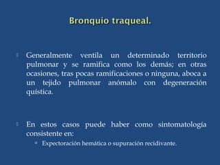  Generalmente ventila un determinado territorio
pulmonar y se ramifica como los demás; en otras
ocasiones, tras pocas ramificaciones o ninguna, aboca a
un tejido pulmonar anómalo con degeneración
quística.
 En estos casos puede haber como sintomatología
consistente en:
 Expectoración hemática o supuración recidivante.
 