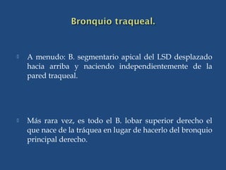  A menudo: B. segmentario apical del LSD desplazado
hacia arriba y naciendo independientemente de la
pared traqueal.
 Más rara vez, es todo el B. lobar superior derecho el
que nace de la tráquea en lugar de hacerlo del bronquio
principal derecho.
 