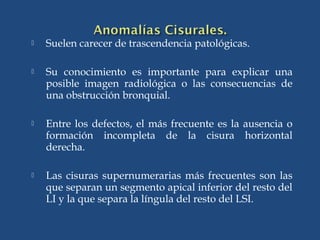  Suelen carecer de trascendencia patológicas.
 Su conocimiento es importante para explicar una
posible imagen radiológica o las consecuencias de
una obstrucción bronquial.
 Entre los defectos, el más frecuente es la ausencia o
formación incompleta de la cisura horizontal
derecha.
 Las cisuras supernumerarias más frecuentes son las
que separan un segmento apical inferior del resto del
LI y la que separa la língula del resto del LSI.
 