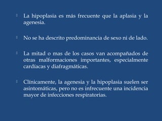  La hipoplasia es más frecuente que la aplasia y la
agenesia.
 No se ha descrito predominancia de sexo ni de lado.
 La mitad o mas de los casos van acompañados de
otras malformaciones importantes, especialmente
cardíacas y diafragmáticas.
 Clínicamente, la agenesia y la hipoplasia suelen ser
asintomáticas, pero no es infrecuente una incidencia
mayor de infecciones respiratorias.
 