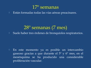 17º semanas
 Están formadas todas las vías aéreas preacinares.
28º semanas (7 mes)
 Suele haber tres órdenes de bronquíolos respiratorios.
 En este momento ya es posible un intercambio
gaseoso gracias a que durante el 5º y 6º mes, en el
mesénquima se ha producido una considerable
proliferación vascular.
 