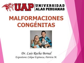 Dr. Luis Rocha Bernal
Expositora: Colque Espinoza, Patricia M.
 