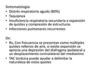 Malformación
adenomatoidea quística
(MAQ). La radiografía de
tórax posteroanterior (PA)
muestra una condensación
multiquís...