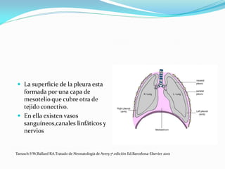 Malformaciones congenitas del aparato respiratorio