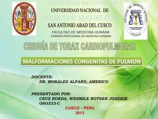 MALFORMACIONES CONGENITAS DE PULMON
FACULTAD DE MEDICINA HUMANA
CARRERA PROFESIONAL DE MEDICINA HUMANA
DOCENTE:
DR. MORALES ALFARO, AMERICO
PRESENTADO POR:
CRUZ BORDA, WESMILE ROTSEN JOSERIK
O8O333-C
CUSCO – PERÚ
2013
 