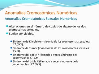 Anomalías Cromosómicas Numéricas
Anomalías Cromosómicas Sexuales Numéricas
Alteraciones en el número de copias de alguno de los dos
 cromosomas sexuales.
Suelen ser viables.

    Síndrome de Klinefelter (trisomía de los cromosomas sexuales:
     47, XXY).
    Síndrome de Turner (monosomía de los cromosomas sexuales:
     45, X).
    Síndrome del doble Y (llamado a veces síndrome del
     supermacho: 47, XYY).
    Síndrome del triple X (llamado a veces síndrome de la
     superhembra: 47, XXX).
 