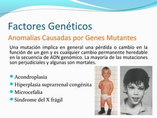 Factores Genéticos
Anomalías Causadas por Genes Mutantes
Una mutación implica en general una pérdida o cambio en la
función de un gen y es cualquier cambio permanente heredable
en la secuencia de ADN genómico. La mayoría de las mutaciones
son perjudiciales y algunas son mortales.

Acondroplasia
Hiperplasia suprarrenal congénita
Microcefalia
Síndrome del X frágil
 