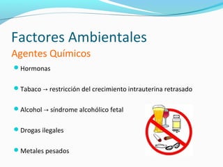 Factores Ambientales
Agentes Químicos
Hormonas


Tabaco → restricción del crecimiento intrauterina retrasado


Alcohol → síndrome alcohólico fetal


Drogas ilegales


Metales pesados
 