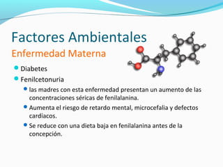 Factores Ambientales
Enfermedad Materna
Diabetes
Fenilcetonuria
   las madres con esta enfermedad presentan un aumento de las
    concentraciones séricas de fenilalanina.
   Aumenta el riesgo de retardo mental, microcefalia y defectos
    cardíacos.
   Se reduce con una dieta baja en fenilalanina antes de la
    concepción.
 