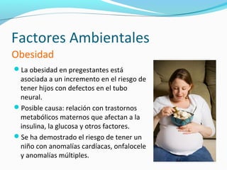 Factores Ambientales
Obesidad
La obesidad en pregestantes está
 asociada a un incremento en el riesgo de
 tener hijos con defectos en el tubo
 neural.
Posible causa: relación con trastornos
 metabólicos maternos que afectan a la
 insulina, la glucosa y otros factores.
Se ha demostrado el riesgo de tener un
 niño con anomalías cardíacas, onfalocele
 y anomalías múltiples.
 