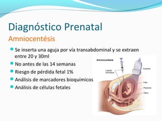 Diagnóstico Prenatal
Amniocentésis
Se inserta una aguja por vía transabdominal y se extraen
 entre 20 y 30ml
No antes de las 14 semanas
Riesgo de pérdida fetal 1%
Análisis de marcadores bioquímicos
Análisis de células fetales
 