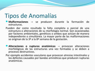 Tipos de Anomalías
Malformaciones → se producen durante la formación de
  estructuras.
Pueden dar como resultado la falta completa o parcial de una
  estructura o alteraciones de su morfología normal. Son ocasionadas
  por factores ambientales, genéticos o ambos que actúan de manera
  independiente o simultánea. La mayor parte de las malformaciones
  se originan de la 3ª a la 8ª semana de la gestación.

Alteraciones o rupturas anatómicas → provocan alteraciones
  morfológicas de las estructuras una vez formadas y se deben a
  procesos destructivos.
Por ejemplo accidentes vasculares que provocan atresias intestinales y
  los defectos causados por bandas amnióticas que producen rupturas
  anatómicas.
 